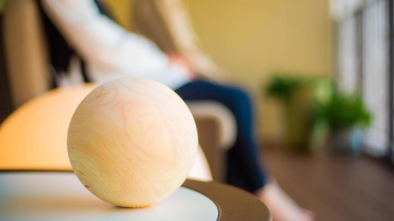 Good Nature Hotel Kiotó Kültér fotó A ball used in the game of boule